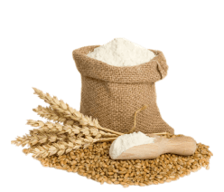 سیسمونی نوزاد